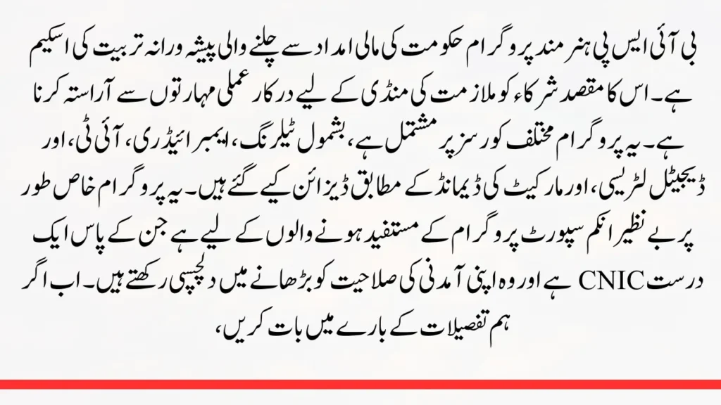 Benazir Hunarmand Program 2025 - Online Registration Open - Complete Guide to Skills Training