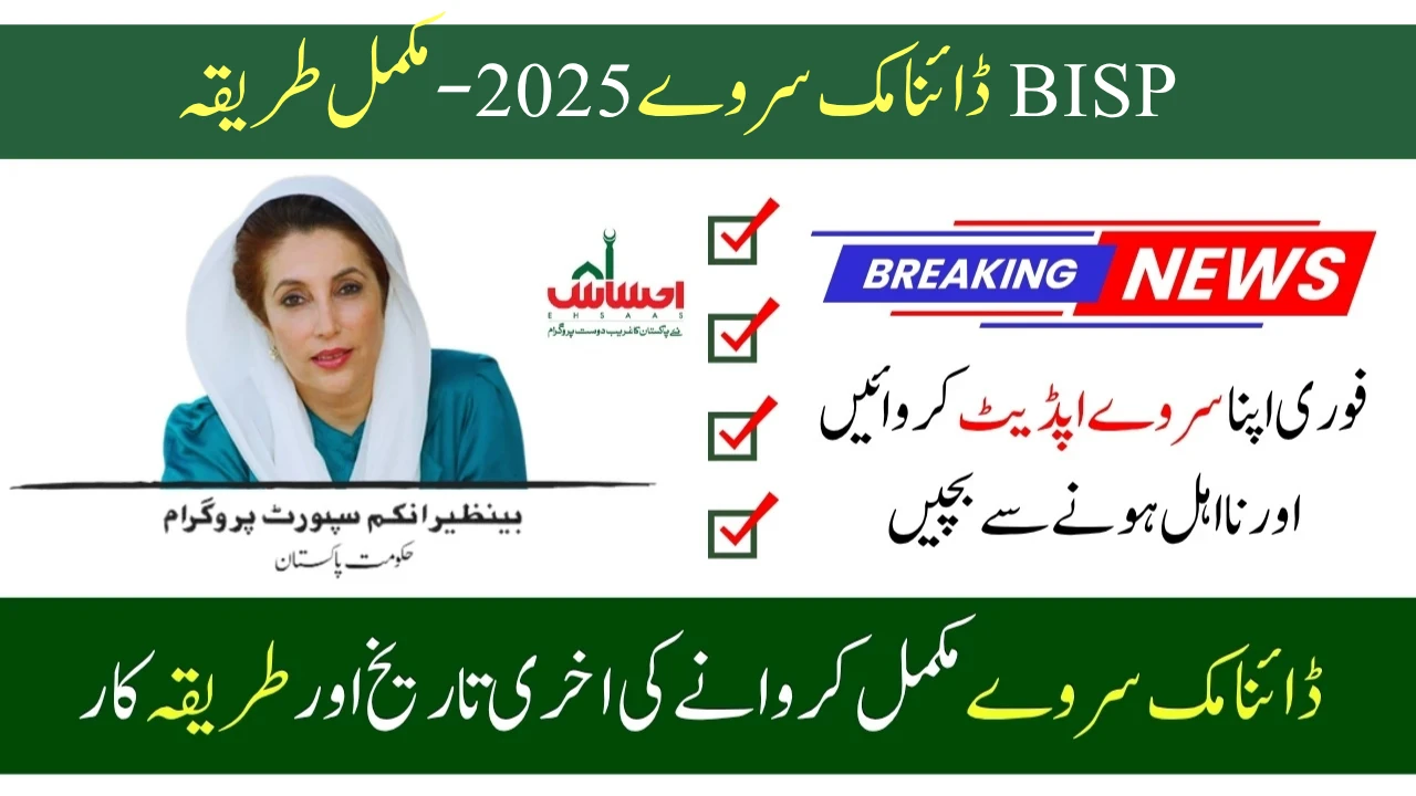 BISP Dynamic Survey 2025 – Complete Method